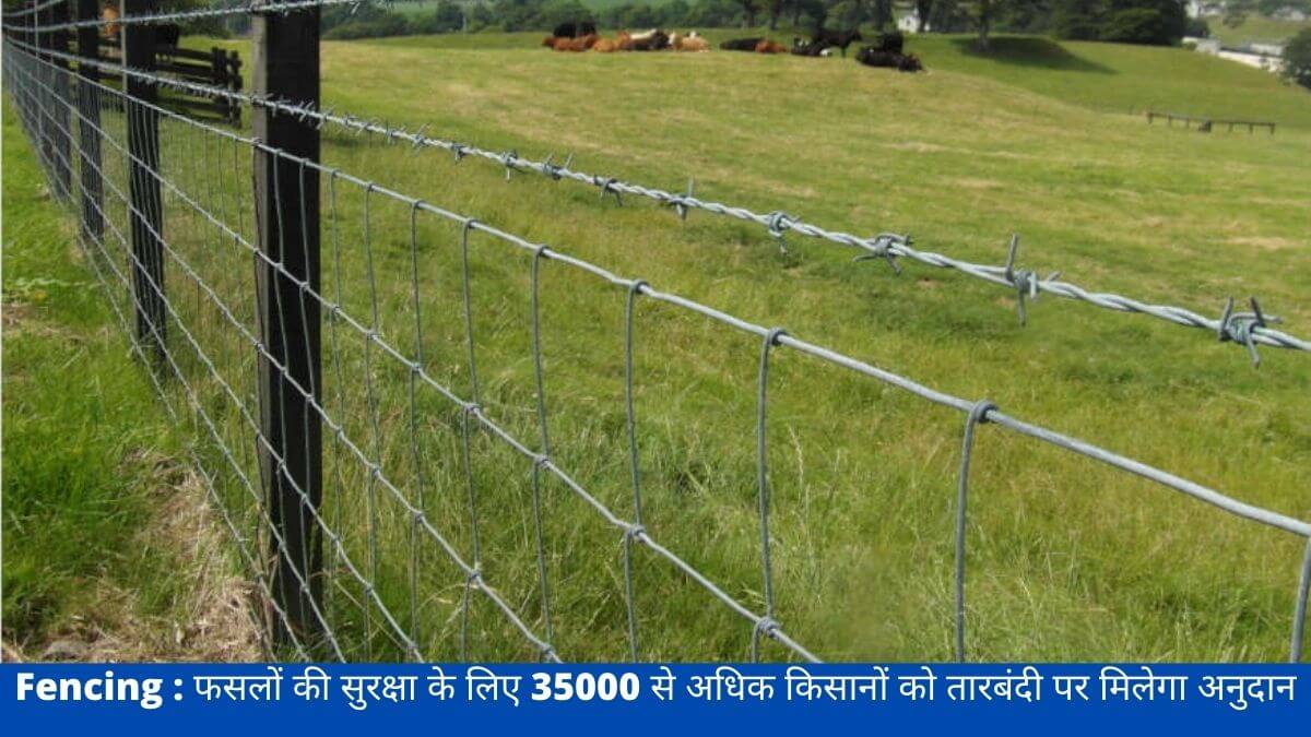 Fencing : फसलों की सुरक्षा के लिए 35000 से अधिक किसानों को तारबंदी पर मिलेगा अनुदान