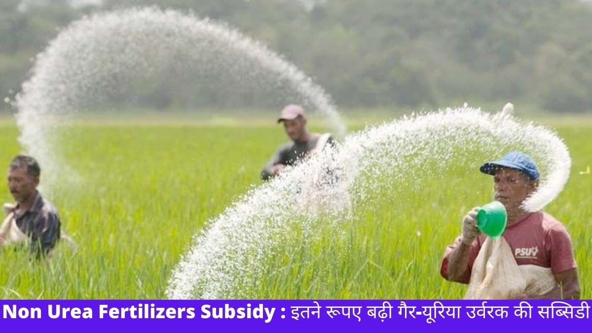Non Urea Fertilizers Subsidy : इतने रूपए बढ़ी गैर-यूरिया उर्वरक की सब्सिडी