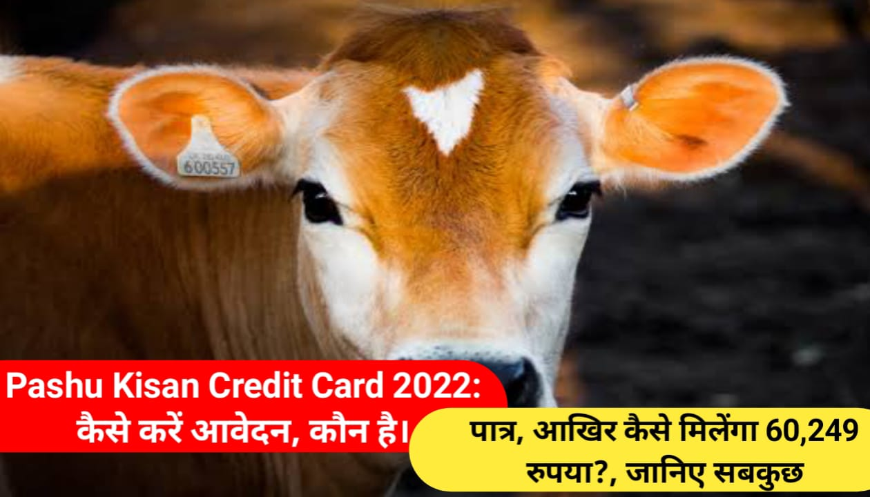 Pashu Kisan Credit Card 2022