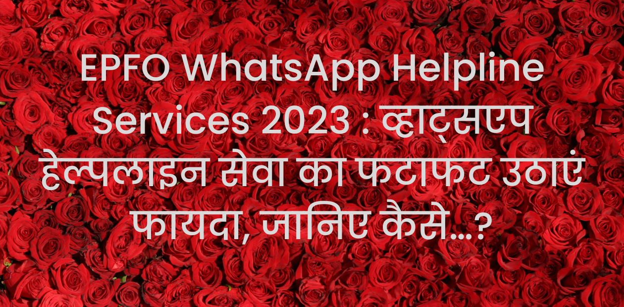 EPFO WhatsApp Helpline Services 2023