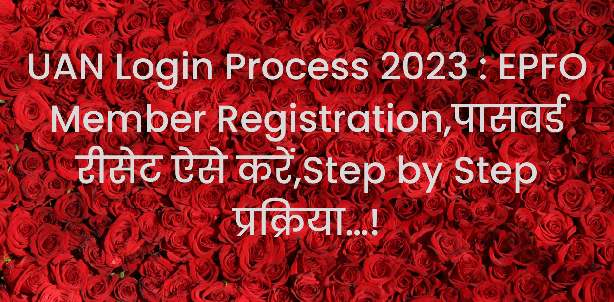 UAN Login Process 2023 